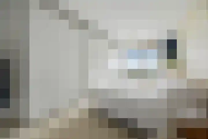 Victor Beermannhof 14 Lent thumbnail 21