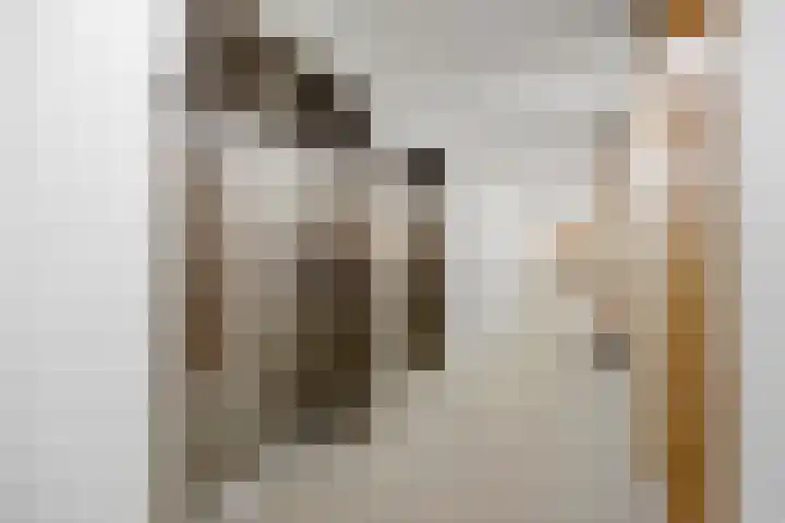 Victor Beermannhof 14 Lent thumbnail 23