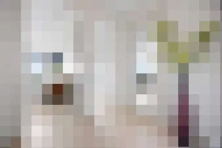 Victor Beermannhof 14 Lent thumbnail 24