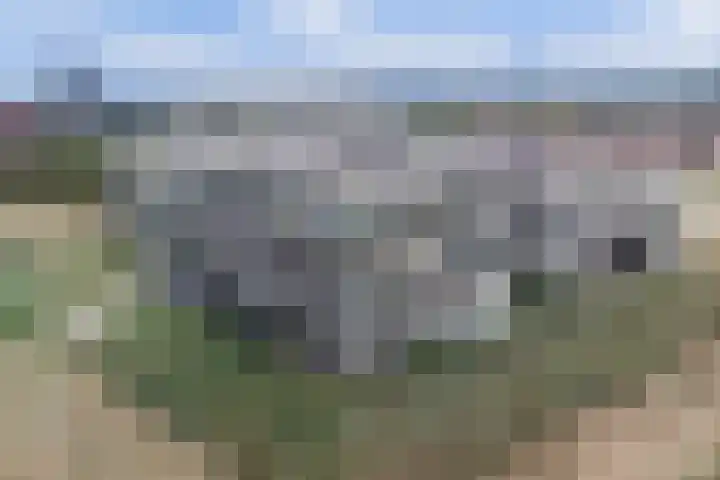 Victor Beermannhof 48 Lent thumbnail 42