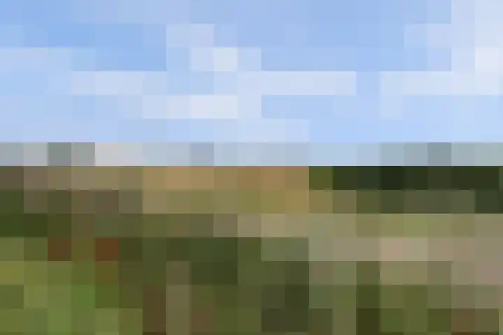 Victor Beermannhof 48 Lent thumbnail 47