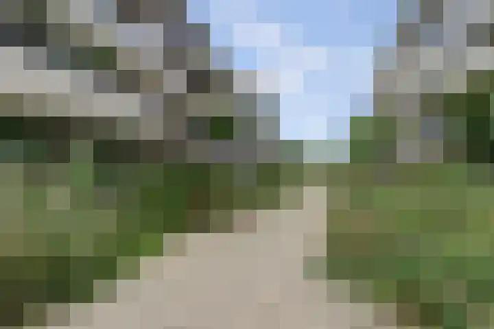 Victor Beermannhof 48 Lent thumbnail 9