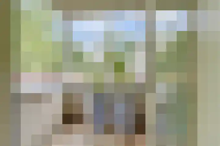 Victor de Bucklaan 40 Bladel thumbnail 31