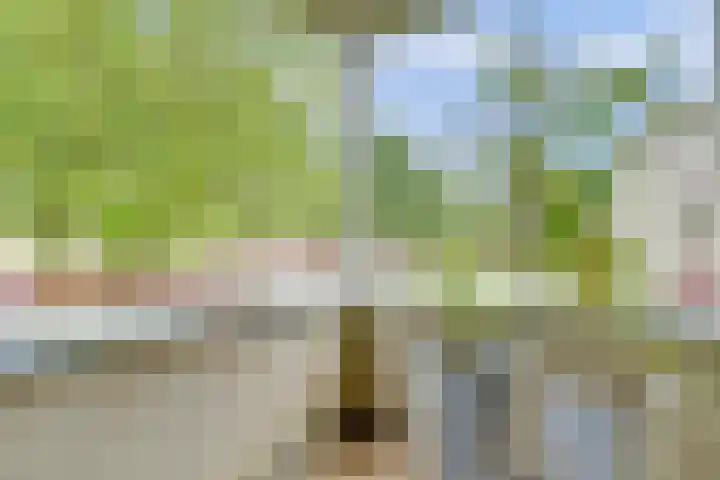 Victor de Bucklaan 40 Bladel thumbnail 32