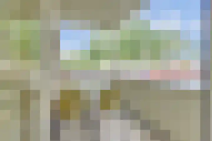 Victor de Bucklaan 40 Bladel thumbnail 33