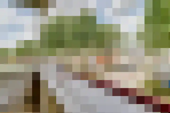 Victor de Bucklaan 40 Bladel thumbnail 34
