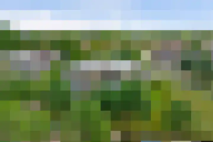 Victor de Bucklaan 40 Bladel thumbnail 38