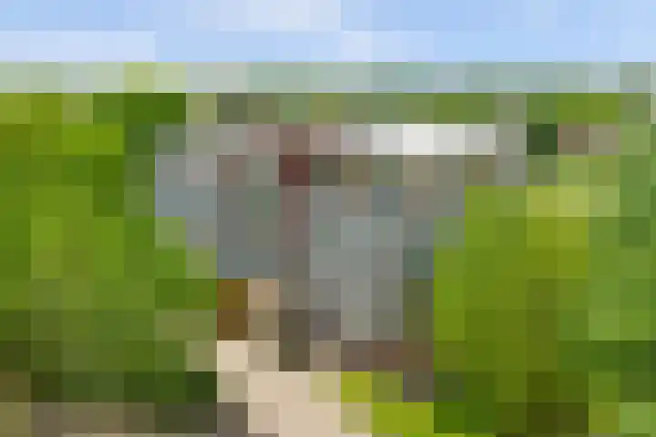 Victor de Bucklaan 40 Bladel thumbnail 4