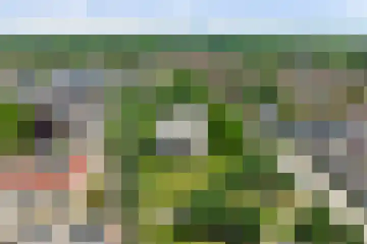 Victor de Bucklaan 40 Bladel thumbnail 41