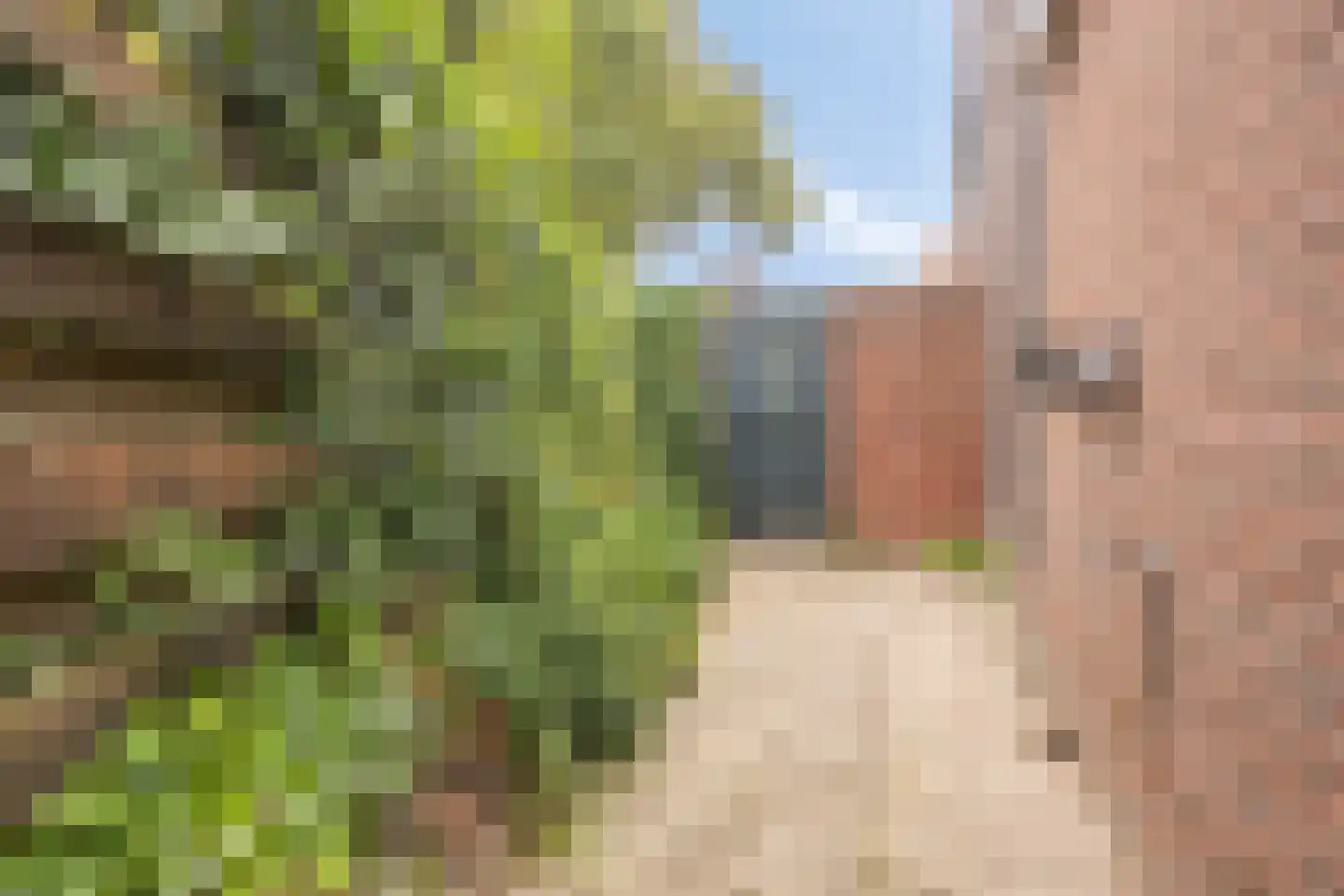 Victor de Stuerslaan 2 Arnhem thumbnail 30