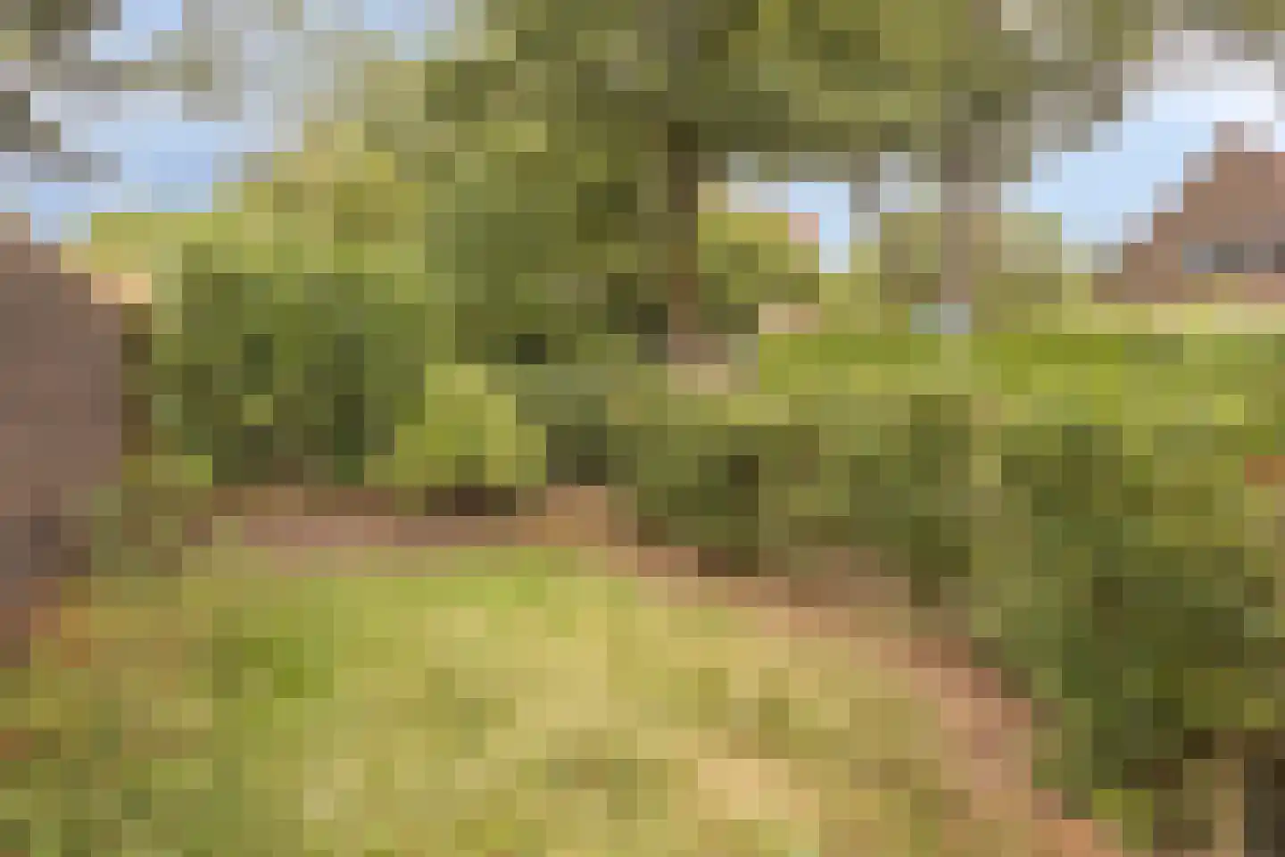 Victor de Stuerslaan 2 Arnhem thumbnail 32