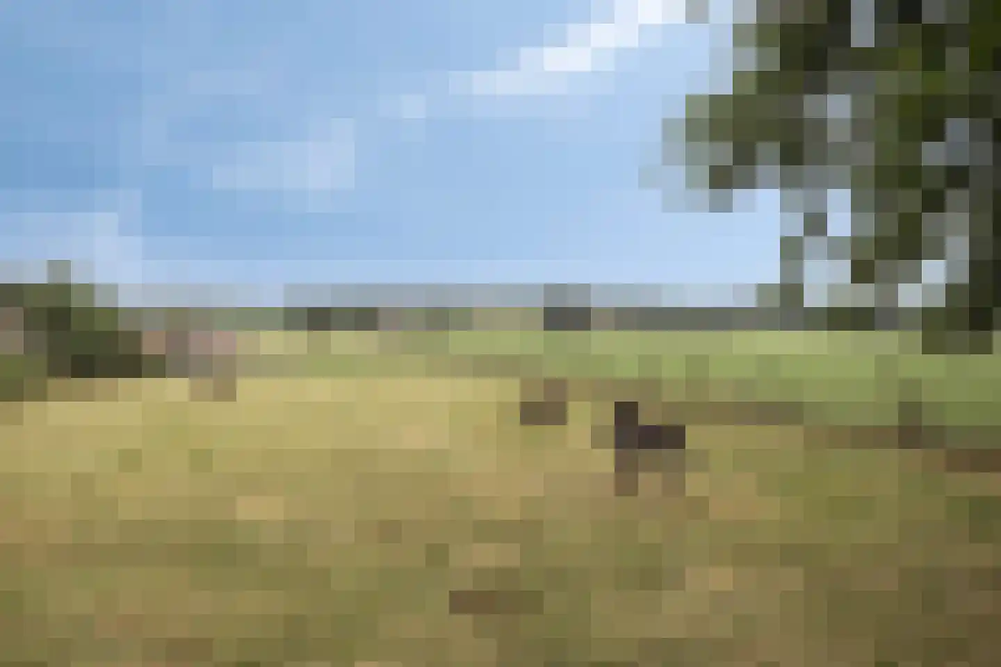 Victor de Stuerslaan 2 Arnhem thumbnail 36