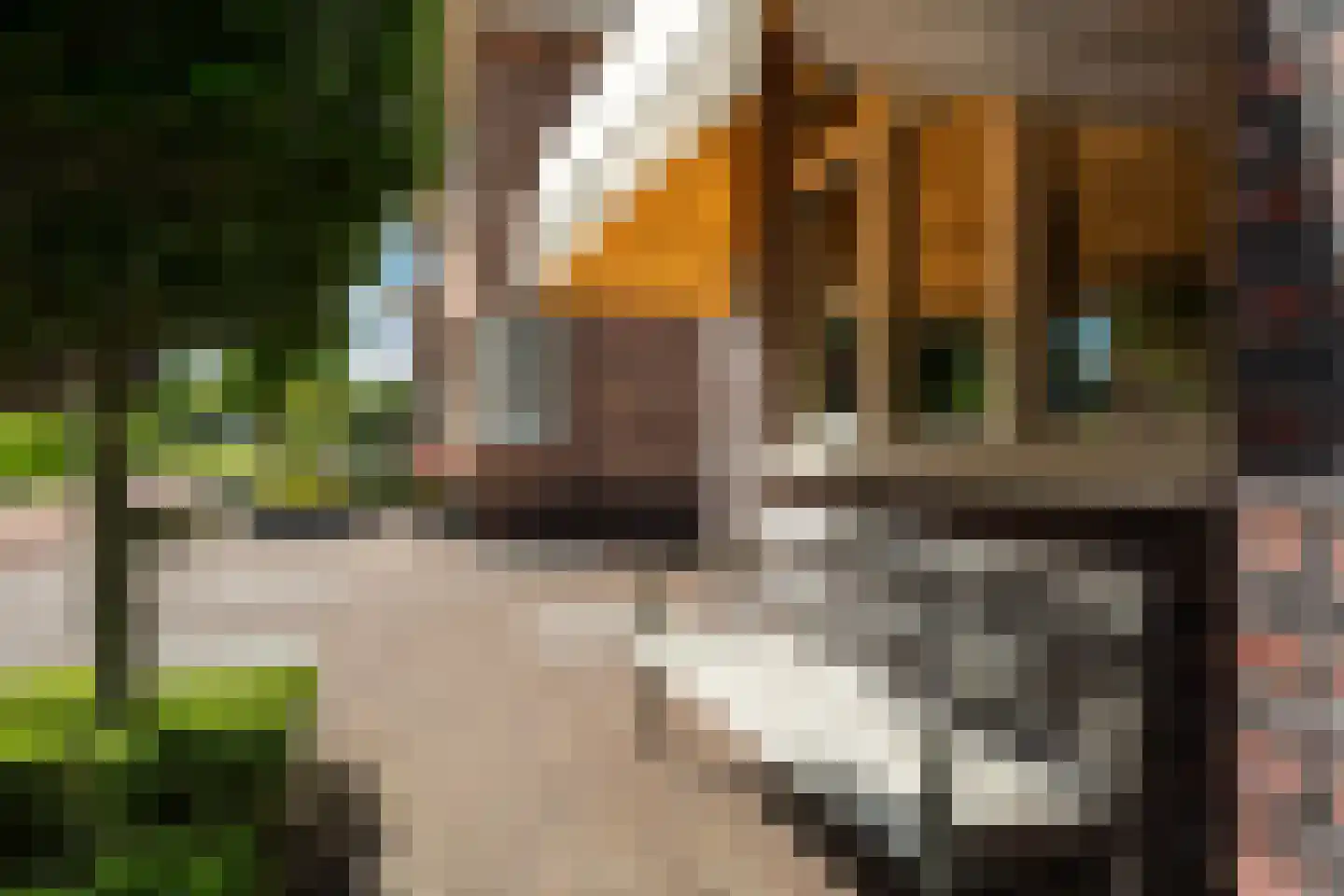 Victor E. van Vrieslandsingel 9 Berkel en Rodenrijs thumbnail 10