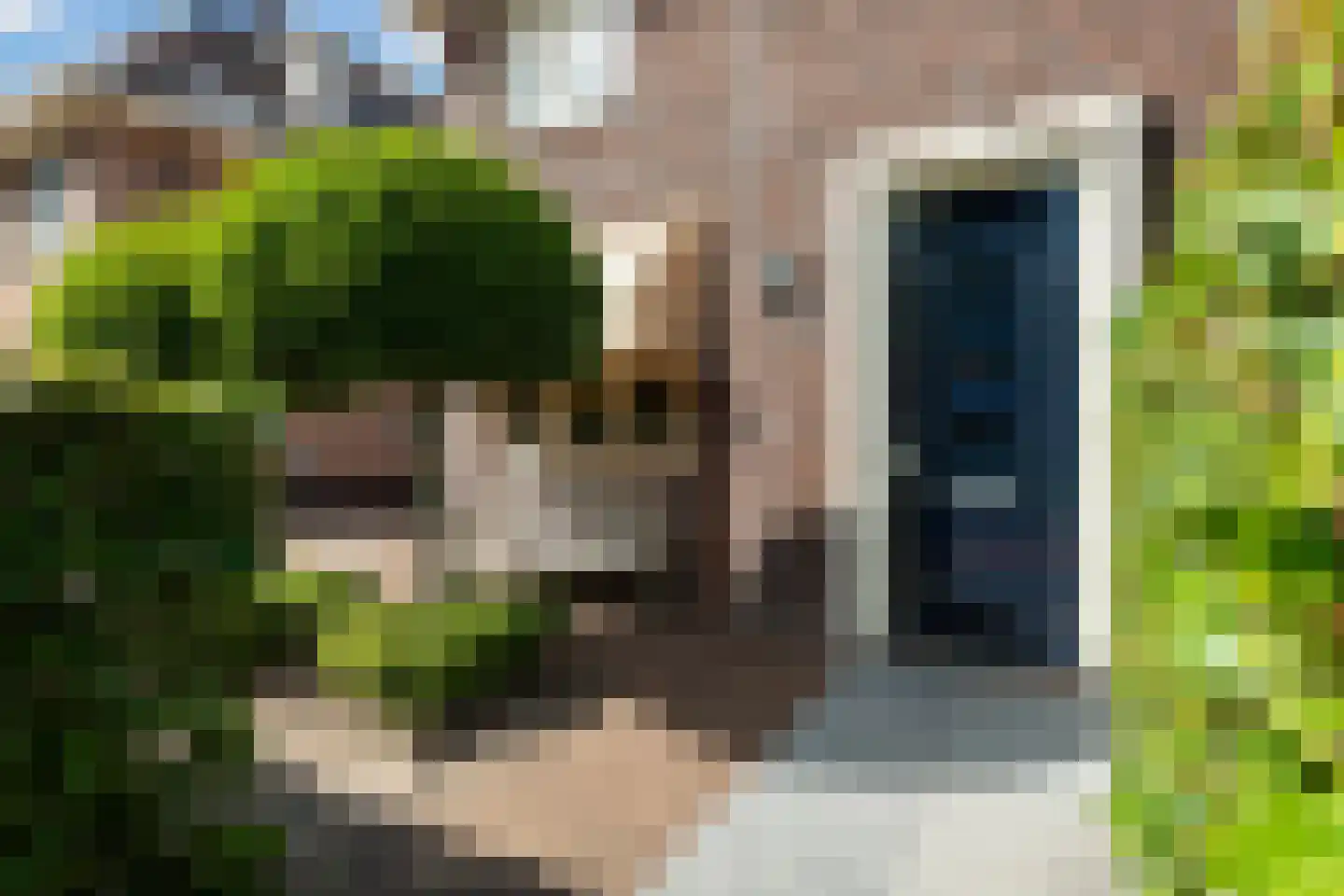 Victor E. van Vrieslandsingel 9 Berkel en Rodenrijs thumbnail 11