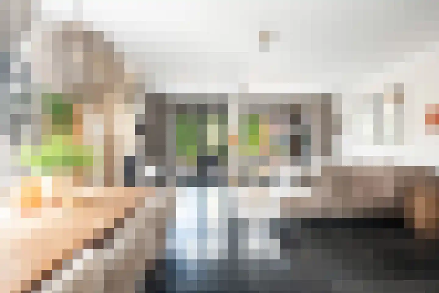 Victor E. van Vrieslandsingel 9 Berkel en Rodenrijs thumbnail 19