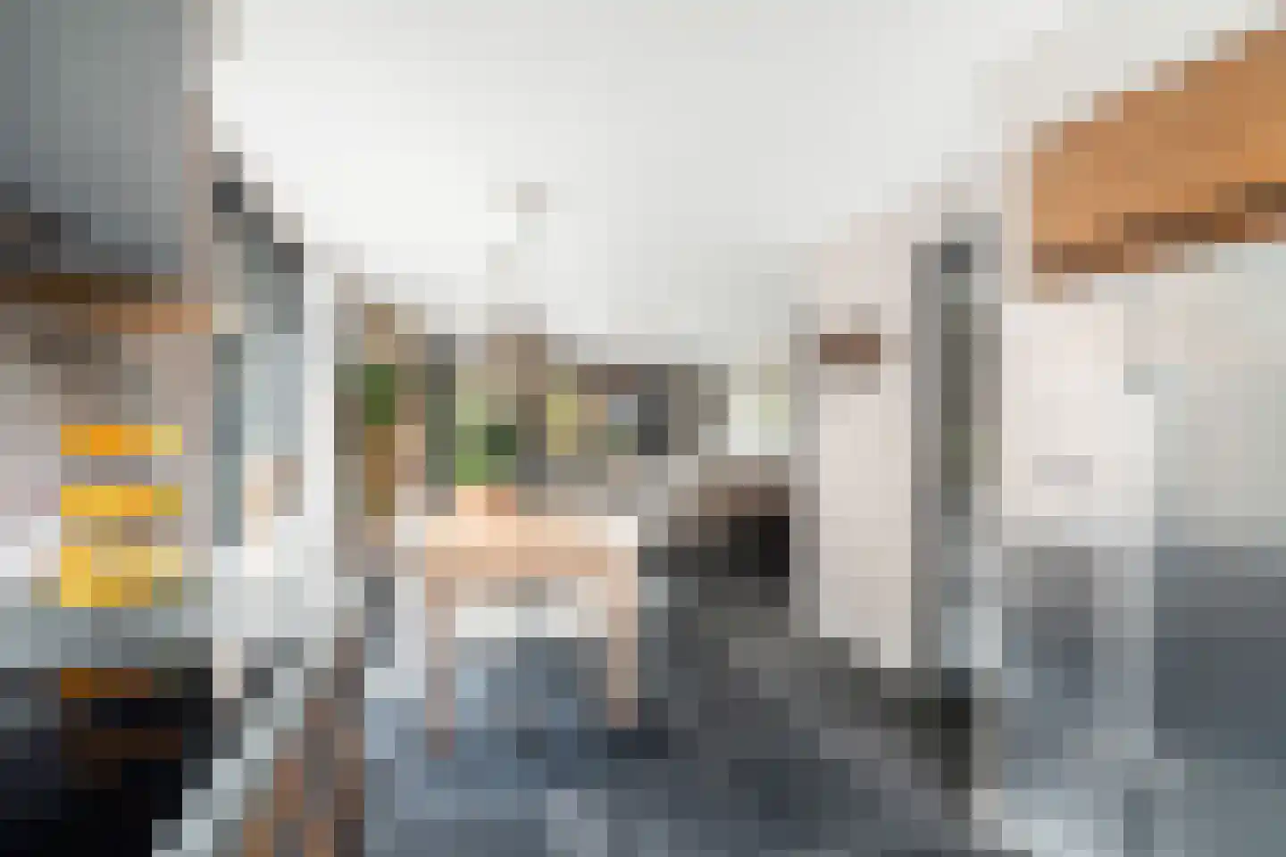 Victor E. van Vrieslandsingel 9 Berkel en Rodenrijs thumbnail 21