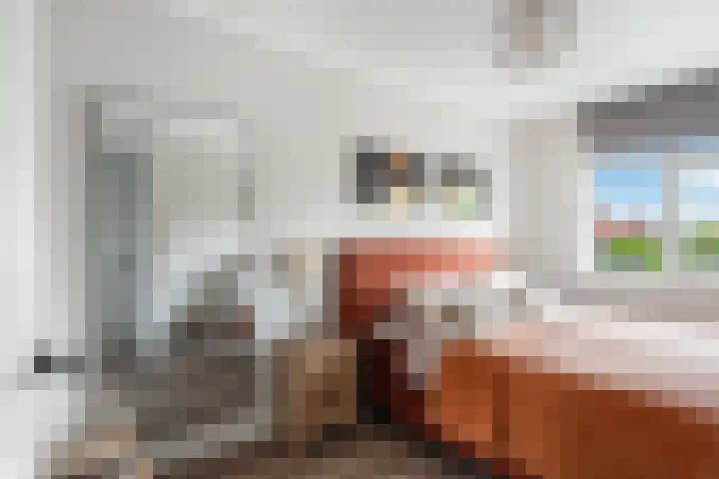 Victor E. van Vrieslandsingel 9 Berkel en Rodenrijs thumbnail 47