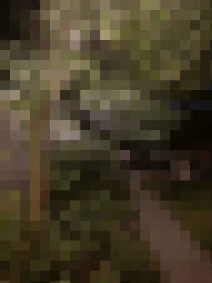 Victor Hugoplantsoen 2 Utrecht thumbnail 12