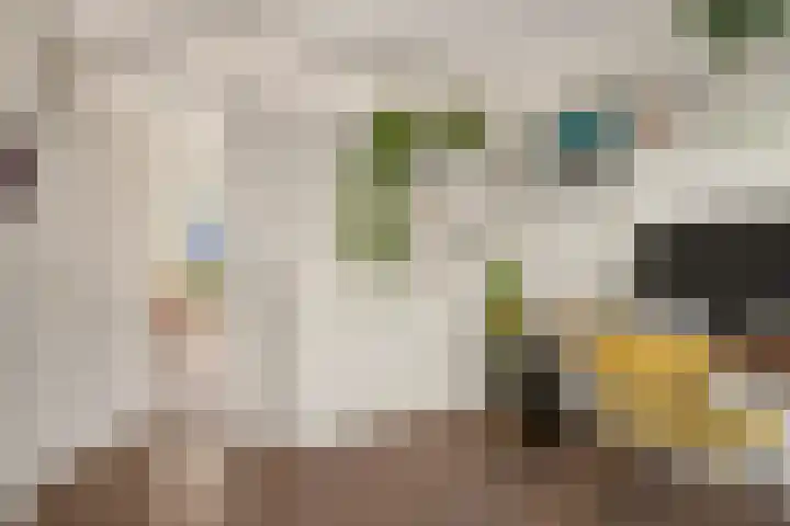Victor Hugoplantsoen 2 Utrecht thumbnail 15