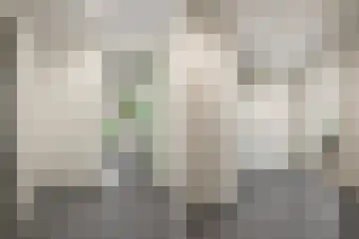 Victor Hugoplantsoen 2 Utrecht thumbnail 19