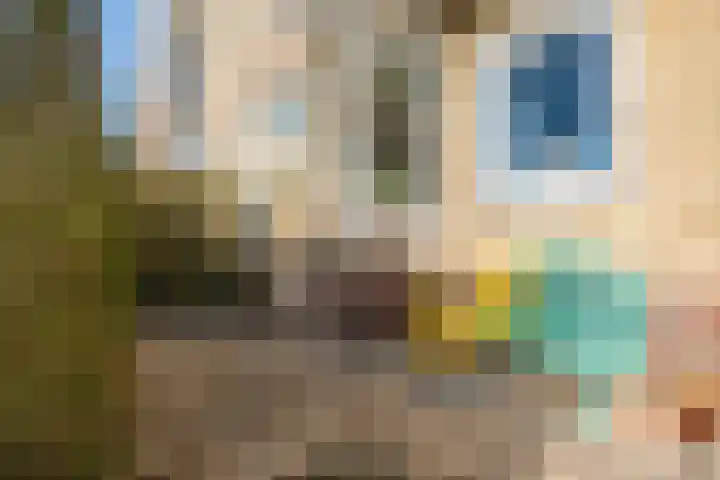 Victor Hugoplantsoen 2 Utrecht thumbnail 25