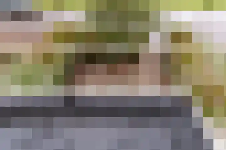 Victor Hugoplantsoen 20 Utrecht thumbnail 16
