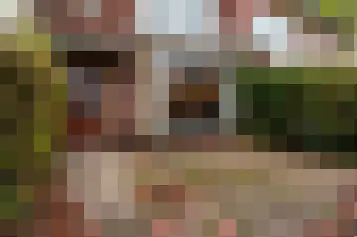 Victor Hugoplantsoen 20 Utrecht thumbnail 31