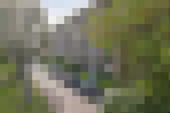 Victor Hugoplantsoen 25 2 Utrecht thumbnail 5