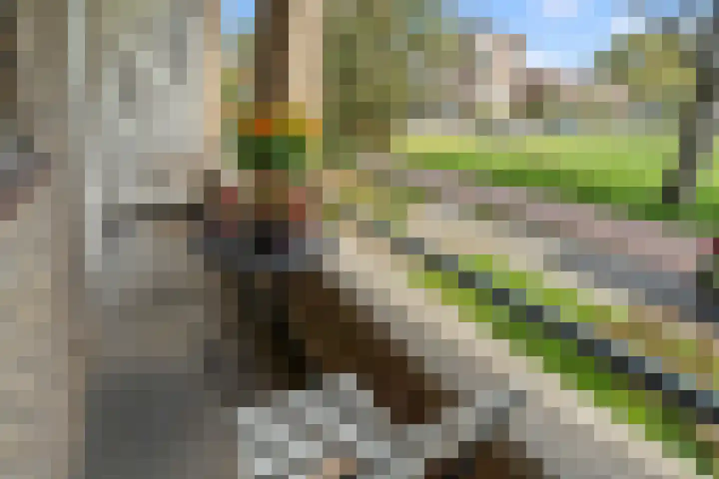 Victor Hugoplantsoen 25 Utrecht thumbnail 23