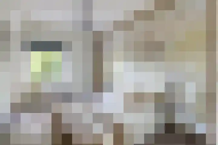 Victor Hugoplantsoen 3 Utrecht thumbnail 14