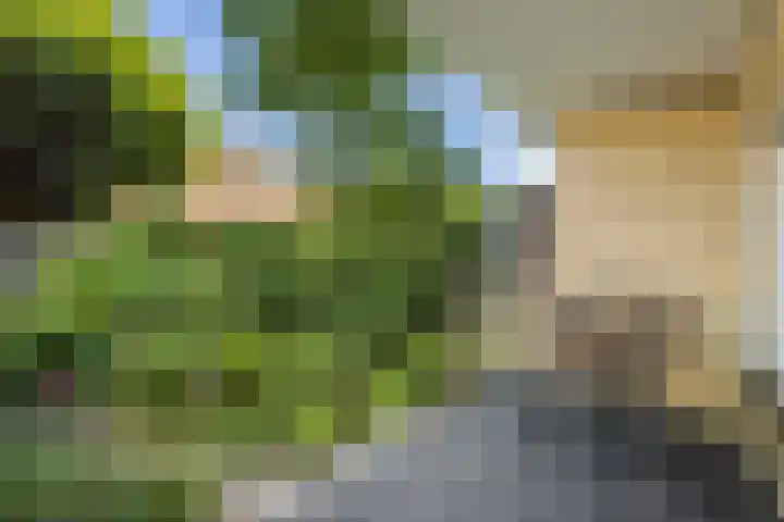 Victor Hugoplantsoen 3 Utrecht thumbnail 18