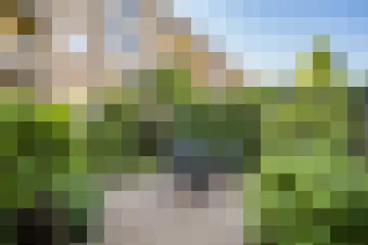 Victor Hugoplantsoen 3 Utrecht thumbnail 19