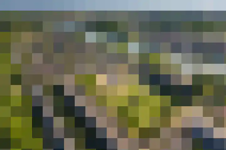 Victor Hugoplantsoen 3 Utrecht thumbnail 20