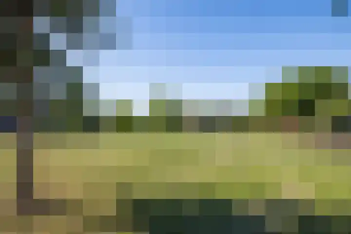 Victor Hugoplantsoen 3 Utrecht thumbnail 21