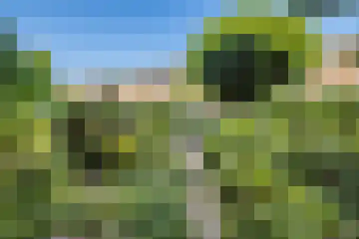 Victor Hugoplantsoen 3 Utrecht thumbnail 5