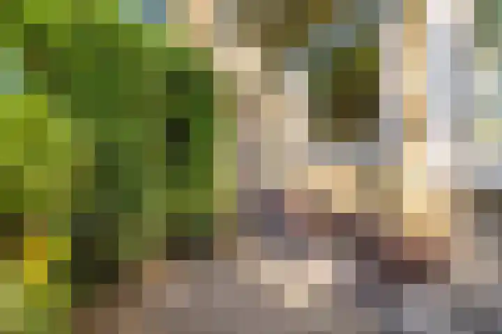Victor Hugoplantsoen 3 Utrecht thumbnail 6