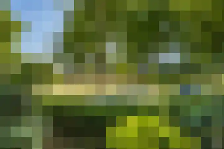 Victor Hugoplantsoen 3 Utrecht thumbnail 9