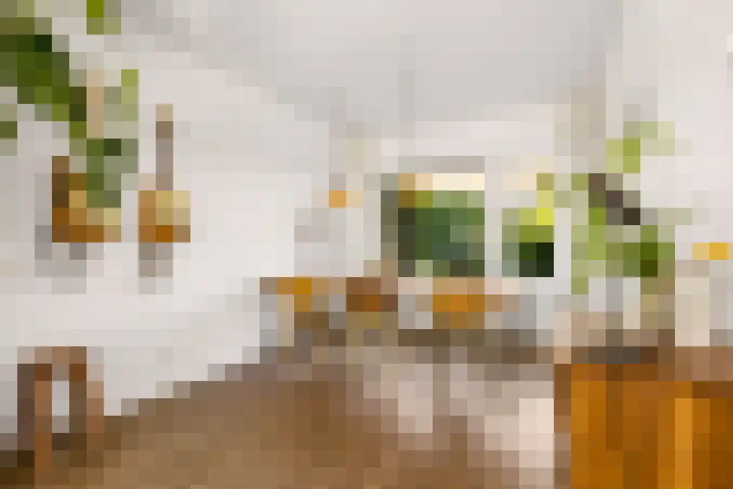 Victor Hugoplantsoen 4 Utrecht thumbnail 12