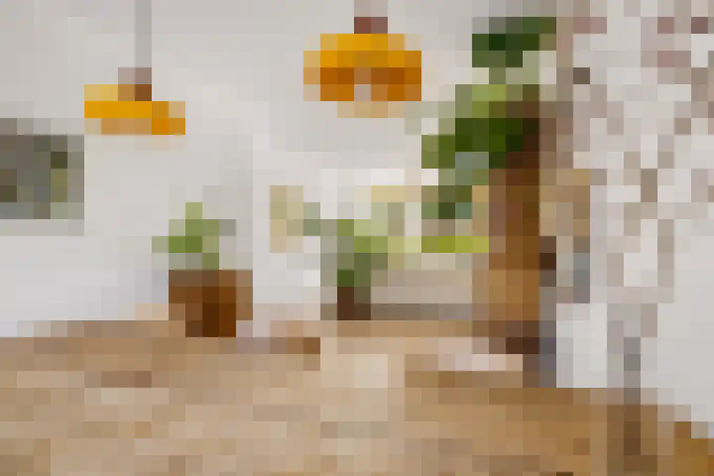 Victor Hugoplantsoen 4 Utrecht thumbnail 13