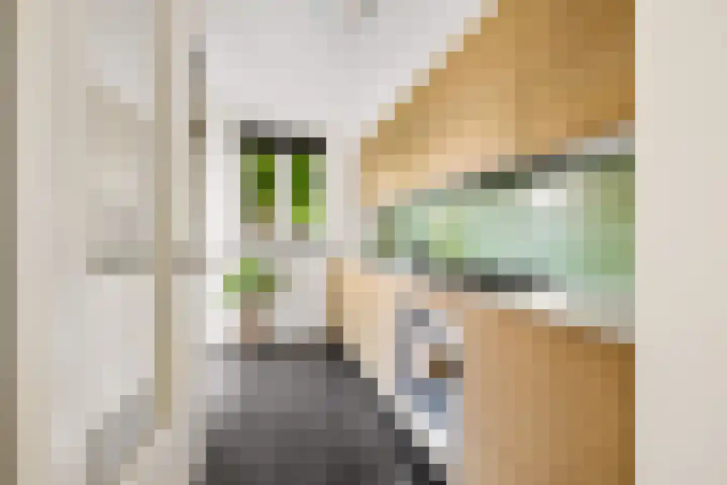 Victor Hugoplantsoen 4 Utrecht thumbnail 15