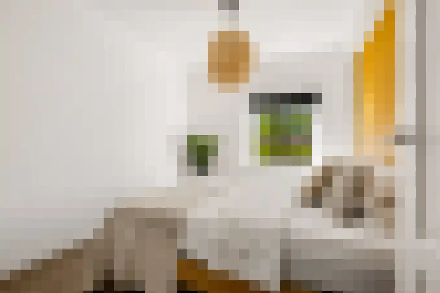 Victor Hugoplantsoen 4 Utrecht thumbnail 17