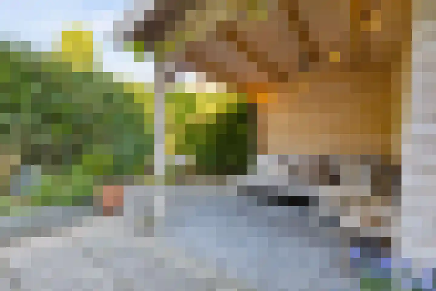 Victor Hugoplantsoen 4 Utrecht thumbnail 23