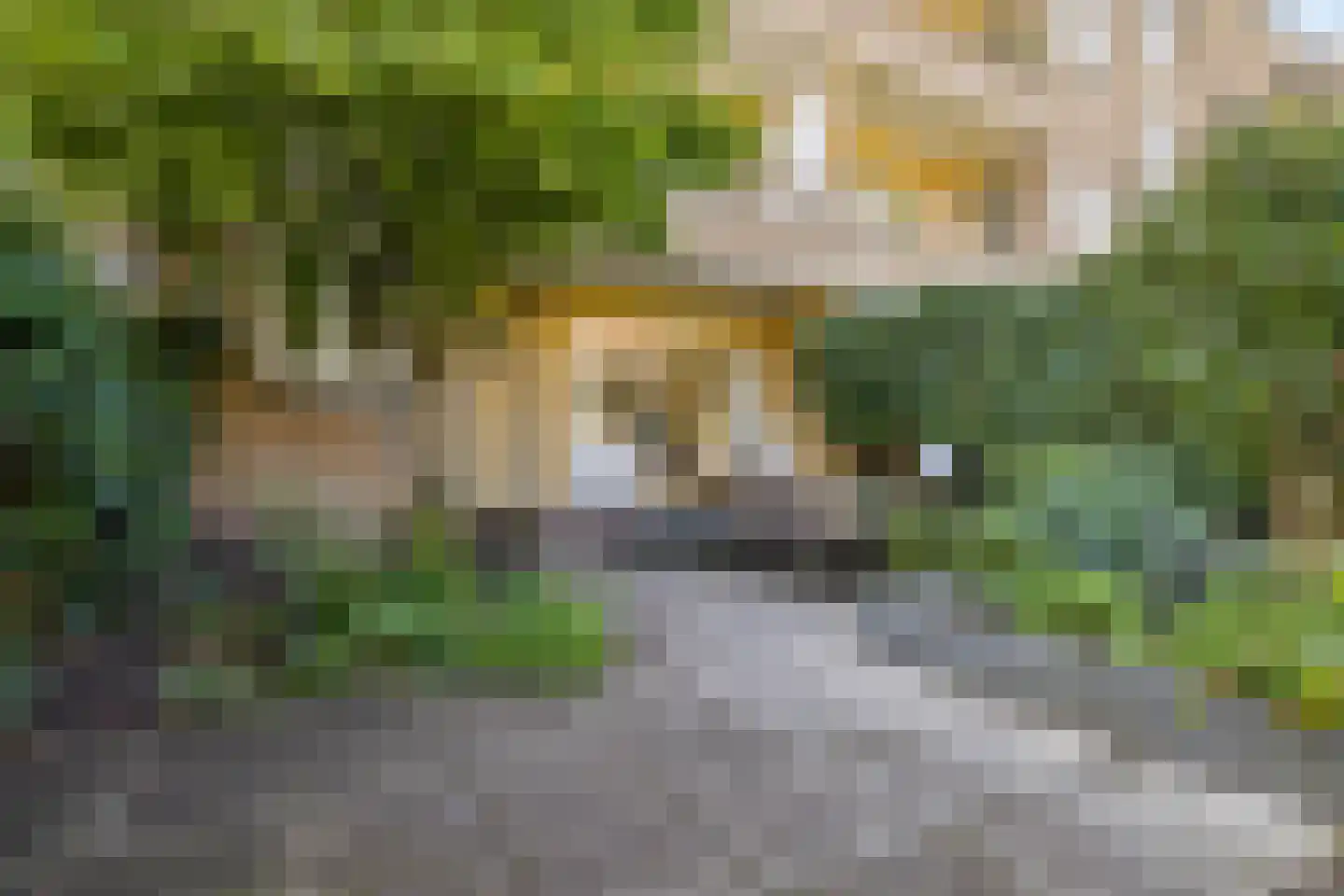 Victor Hugoplantsoen 4 Utrecht thumbnail 25