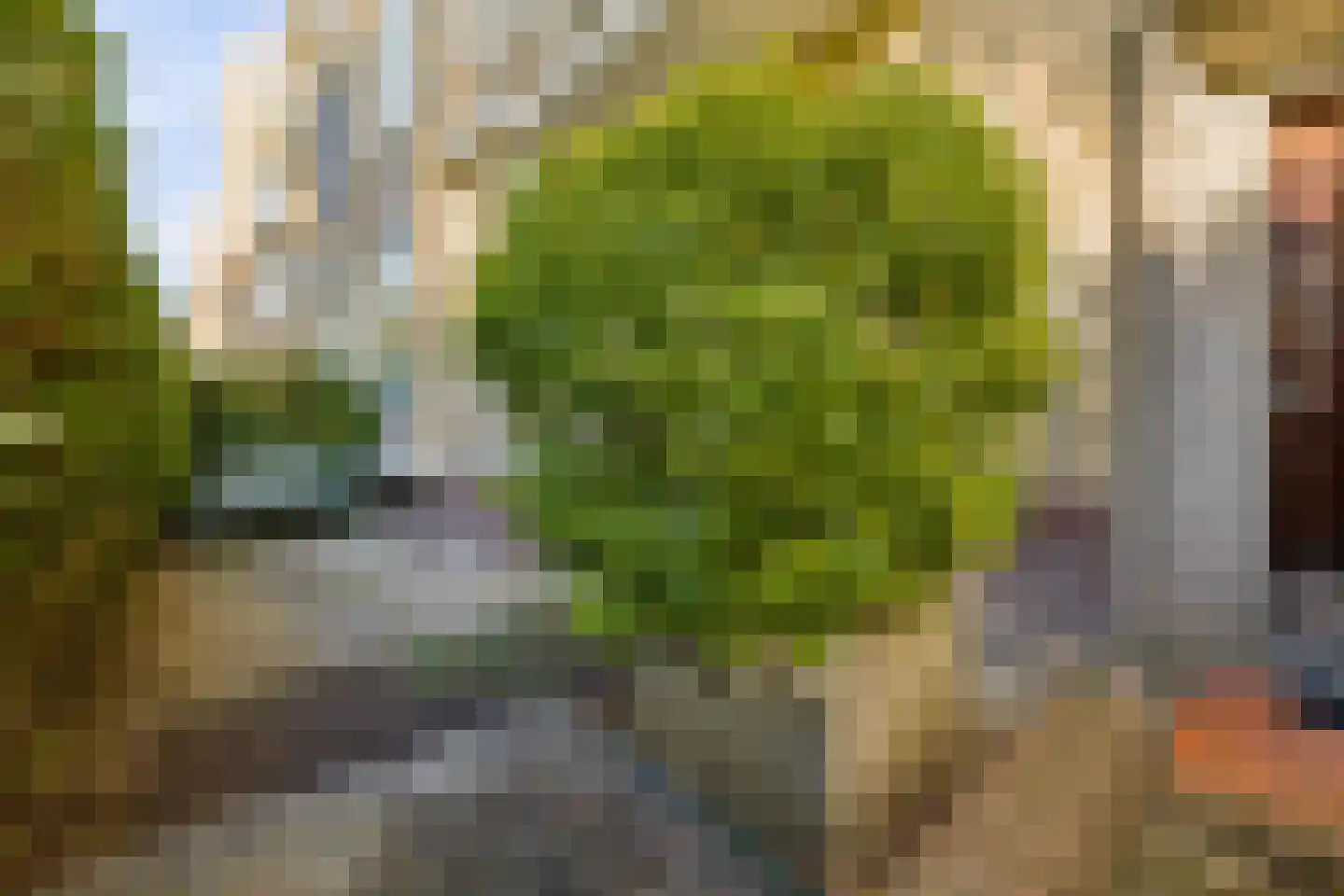 Victor Hugoplantsoen 4 Utrecht thumbnail 29
