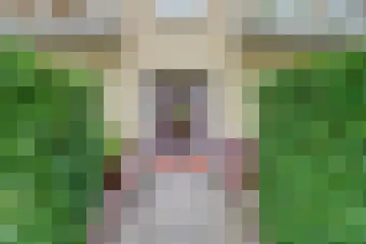 Victor Hugoplantsoen 5 2 Utrecht thumbnail 24