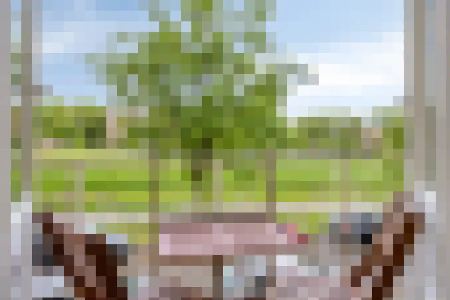 Victor Hugoplantsoen 9 1 Utrecht thumbnail 6