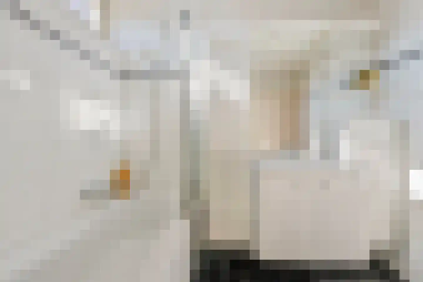 Victor Hugostraat 17 Venlo thumbnail 20