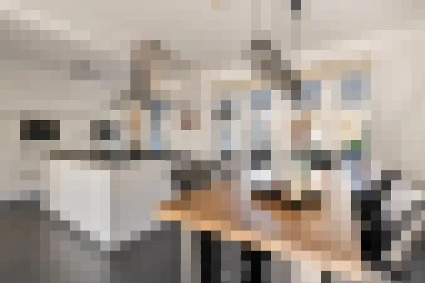 Victor Hugostraat 17 Venlo thumbnail 6