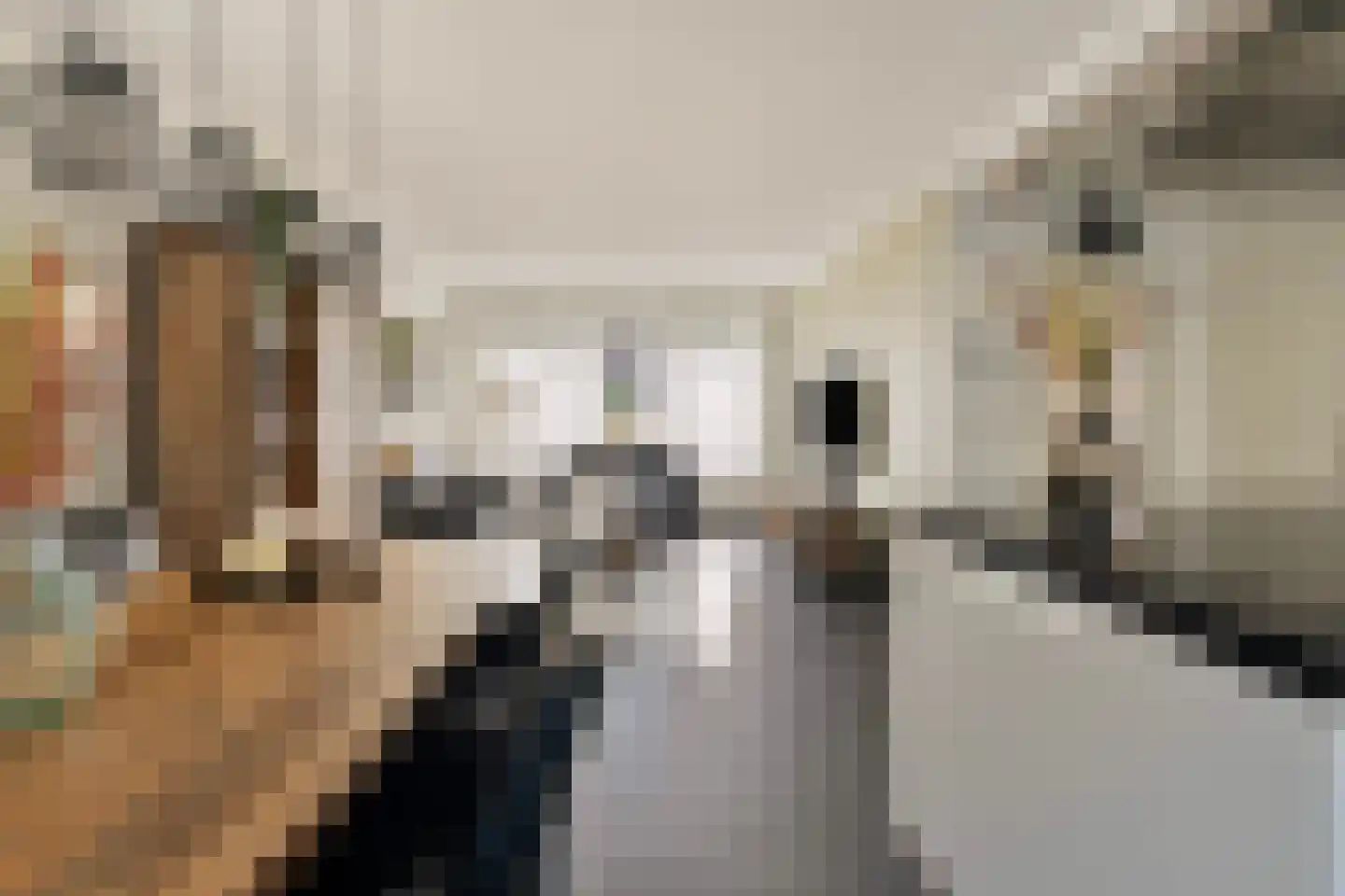 Victor Hugostraat 17 Venlo thumbnail 8