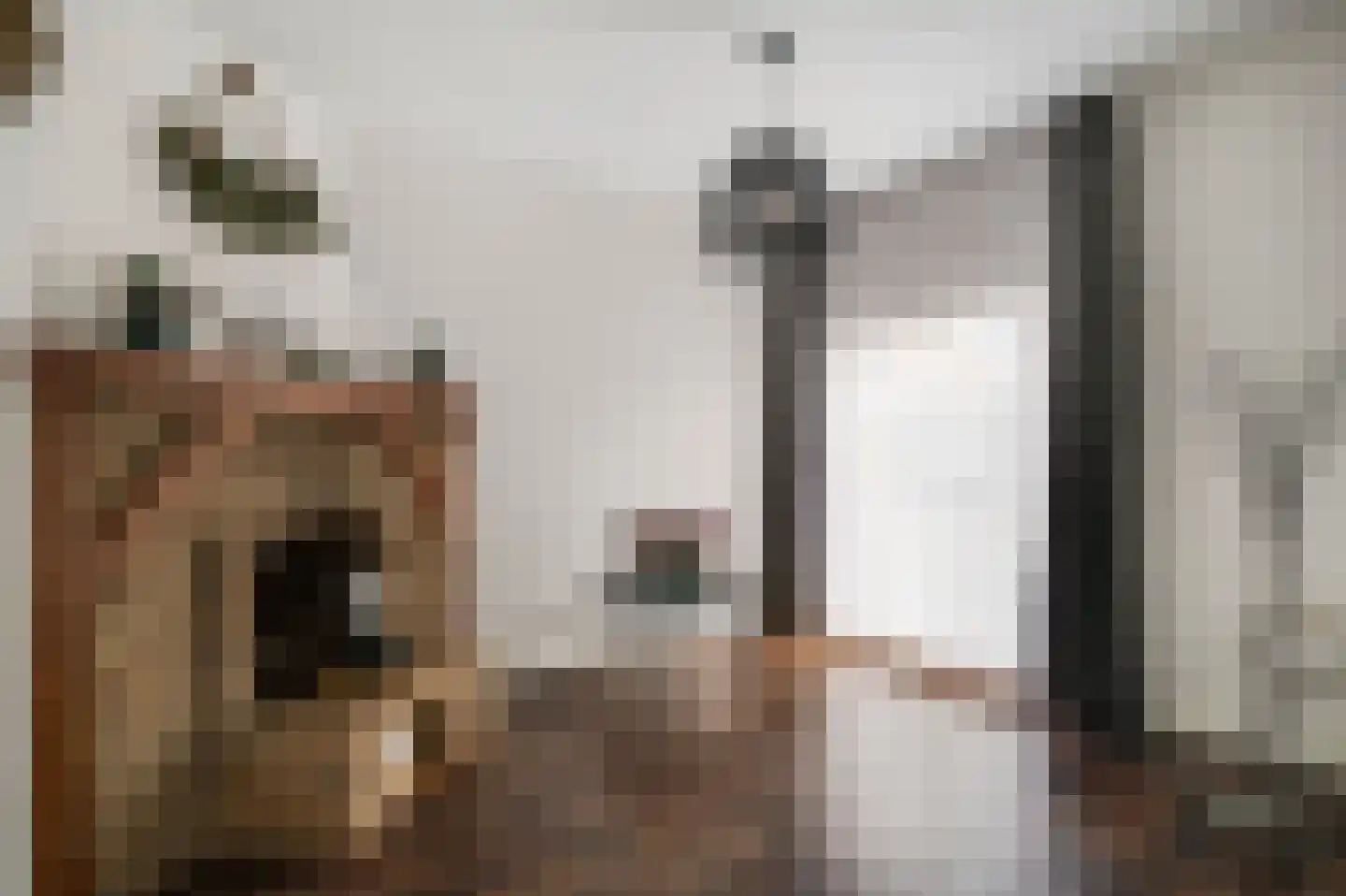 Victor Hugostraat 24 Venlo thumbnail 5